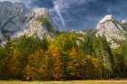 Slovenia, Triglav National Park. Julian Alps and forest in autumn. Art Print